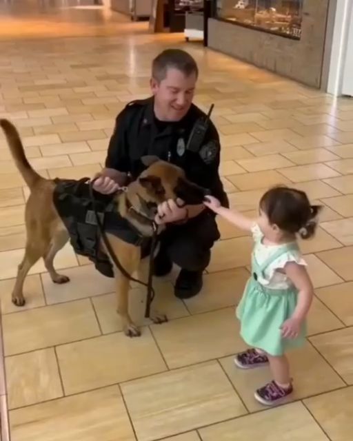 The Dog That Remembered Her Dad