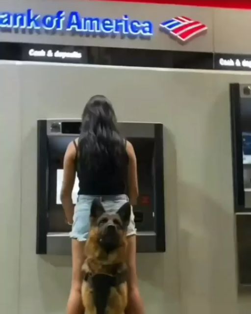 The Night My Dog Saved Us Both