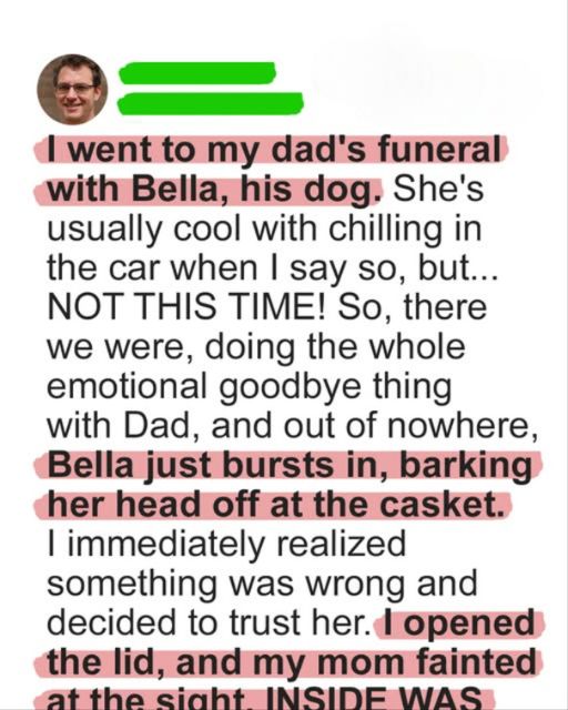 I Went To My Dad’s Funeral With Bella, His Dog