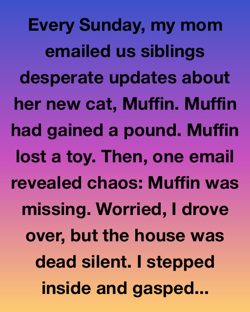 The Curious Case of Muffin the Cat