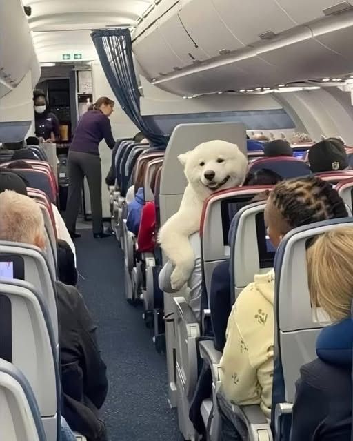 A Love That Never Gets Left Behind