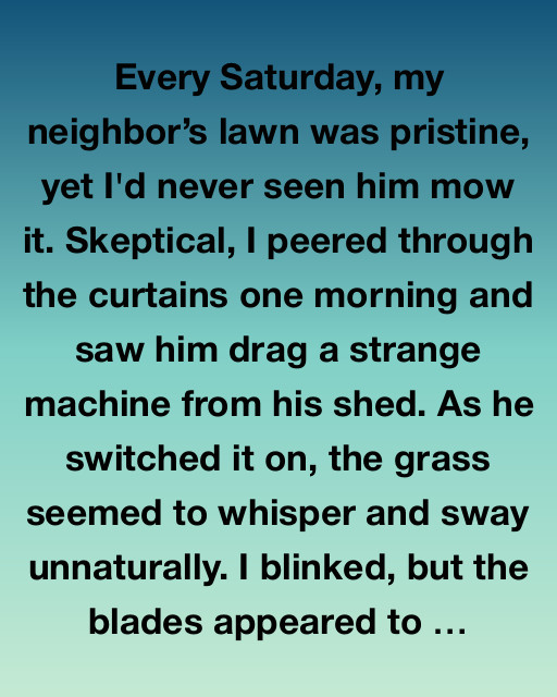 The Whispering Lawn