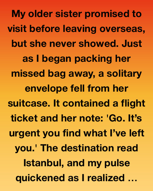 The Mysterious Journey To Istanbul