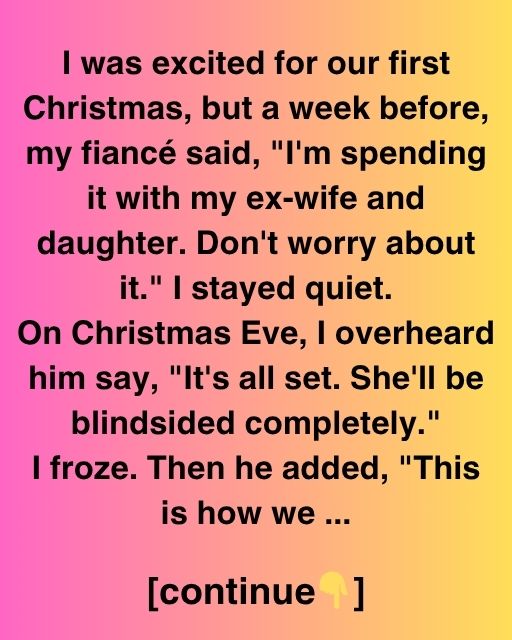 The Christmas I Almost Missed The Truth