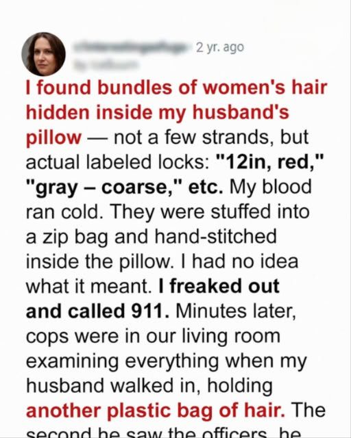 The Secrets Inside the Pillow