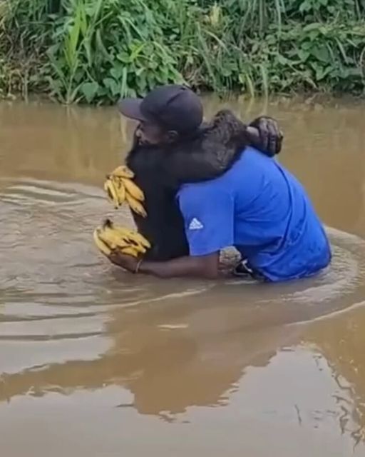 The Greatest Rescue Is Love