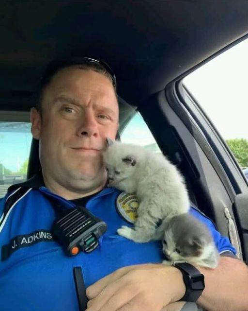 Two Texas Officers Had Just Finished a Routine Shoplifting Call… And Left With Two Tiny Lives In Their Arms