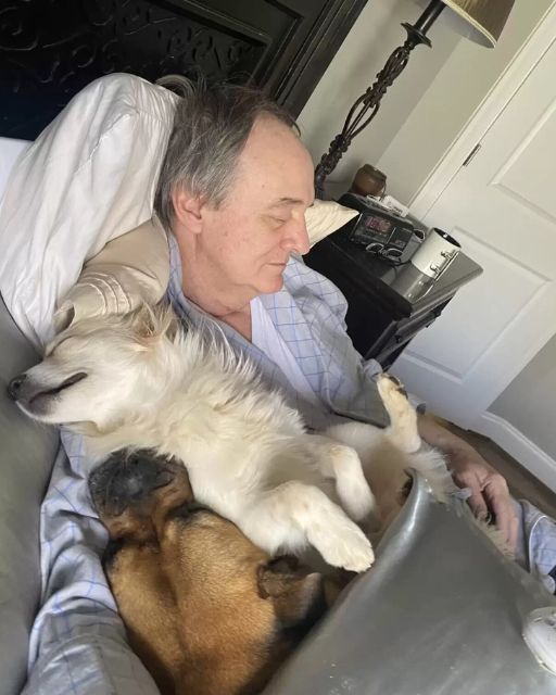 Every Day, Neighborhood Dogs Wait Patiently For One Man