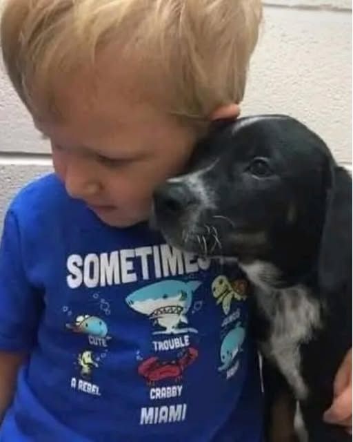 Some Dogs Choose You