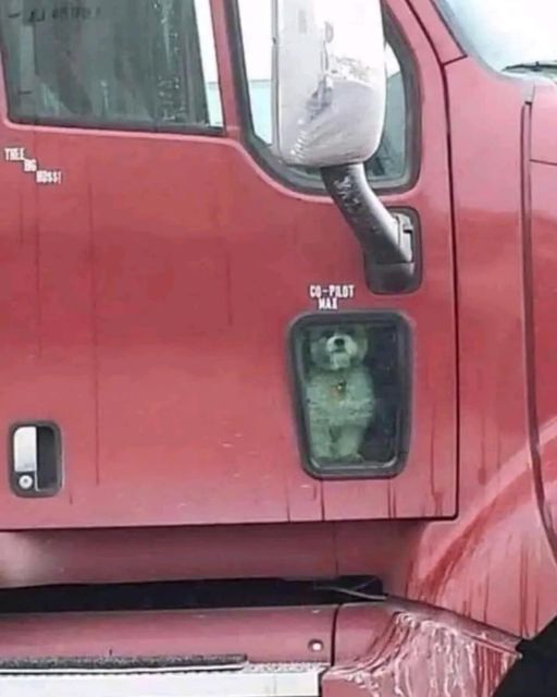 The Big Boss Of The Open Road