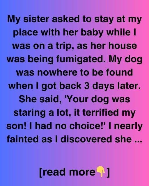 My Dog Was Gone And My Sister Lied