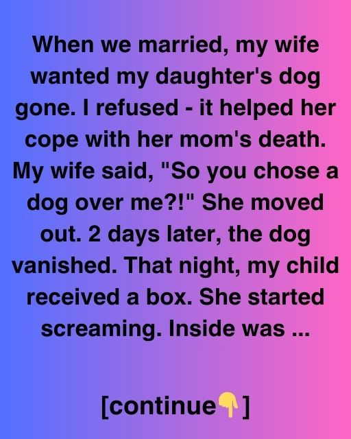 The Dog, The Box, And The Truth