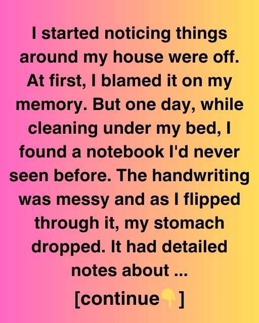 The Notebook Under The Bed