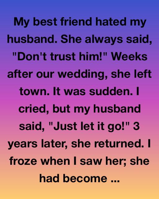 My Best Friend Warned Me, Then Disappeared