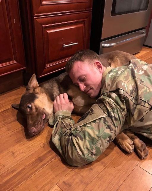 My Brother Came Home From Deployment—But His Military Dog Won’t Look Him In The Eye