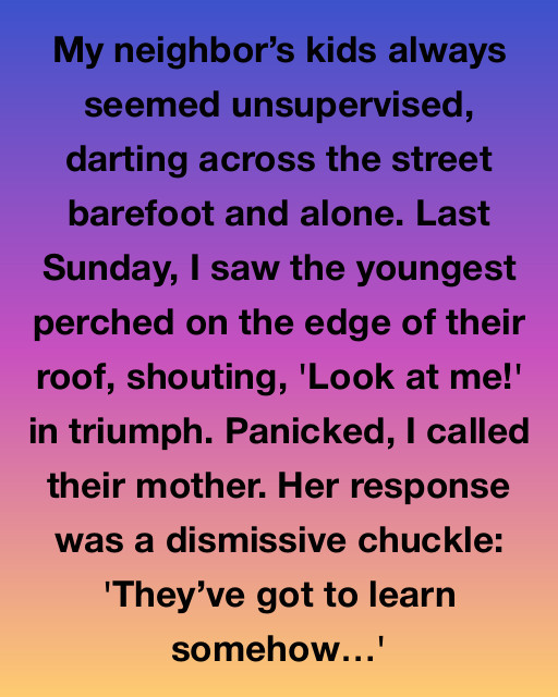 Lessons from Across the Street