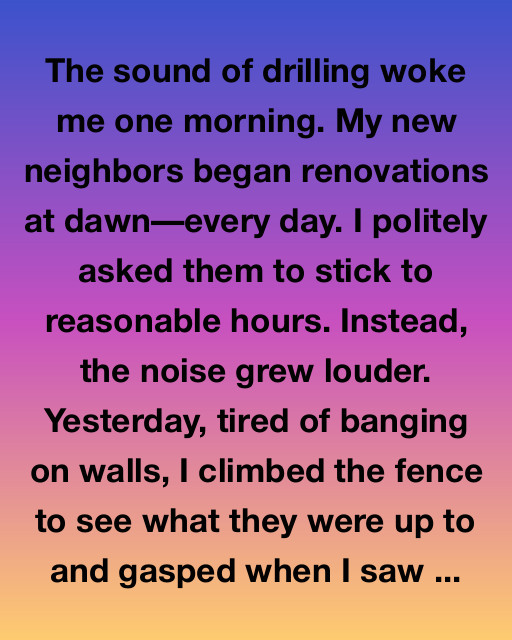 The Mysterious Renovation