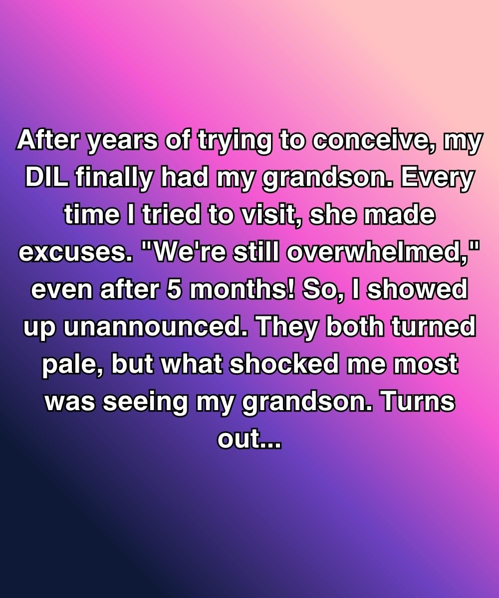 After Years Of Trying, She Finally Had My Grandson—But I Wasn’t Supposed To See Him