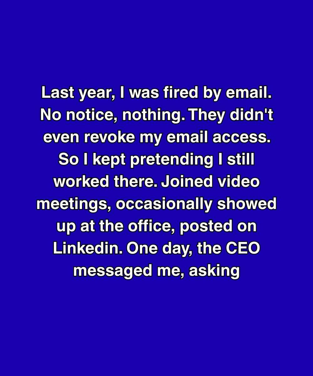 They Fired Me Over Email—So I Kept “Working” There Until The CEO Asked Me This
