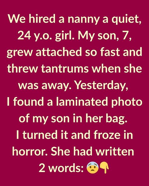 We Hired A Nanny For Our Son—But The Photo In Her Bag Changed Everything