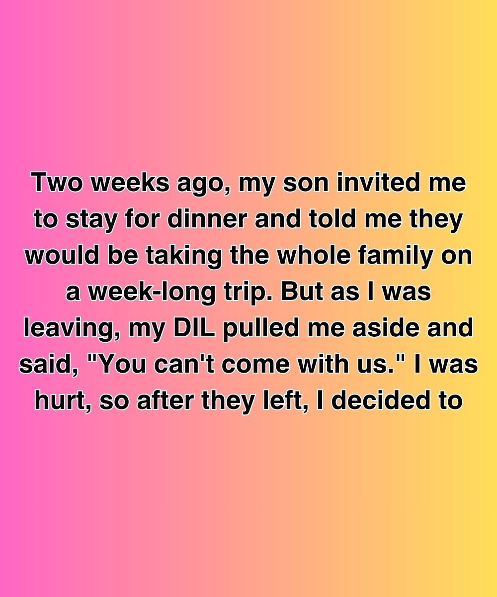 They Told Me I Was Family—Until They Went On Vacation Without Me