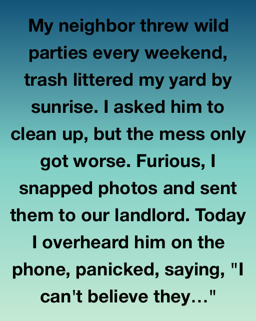 Lessons from a Noisy Neighbor