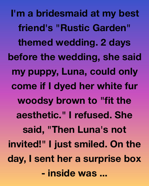 The Puppy, The Paint, And The Promise