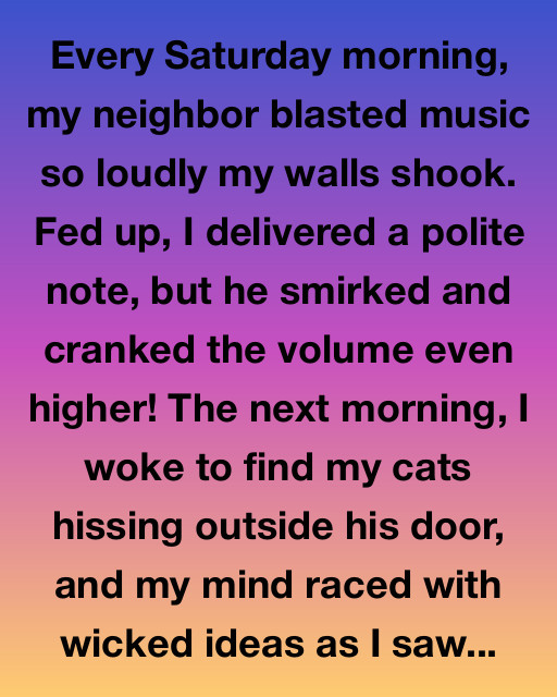 Quiet Discoveries and Kindness