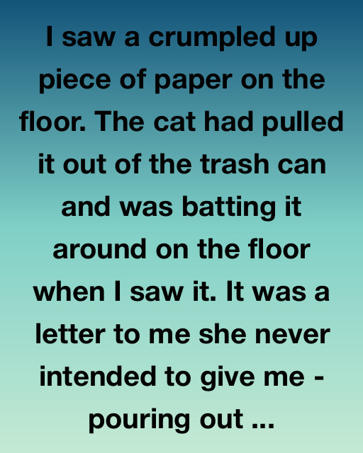 The Letter She Never Meant to Send