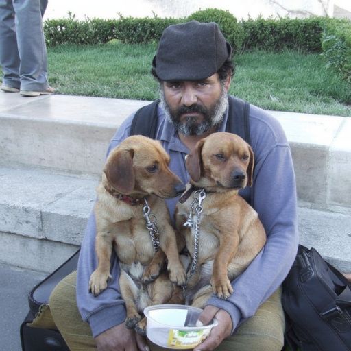 I Found The Man Who Left Our Family Sitting On The Street With Two Dogs In His Arms