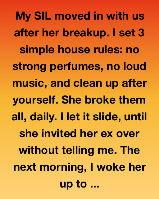 My SIL Moved In With Us: The 3 Rules She Broke And The Twist She Never Saw Coming