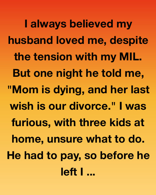 Her Last Wish Was Our Divorce — So I Gave Her a Goodbye She’d Never Forget