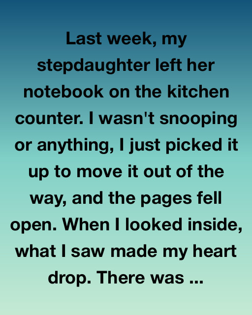 The Notebook On The Counter