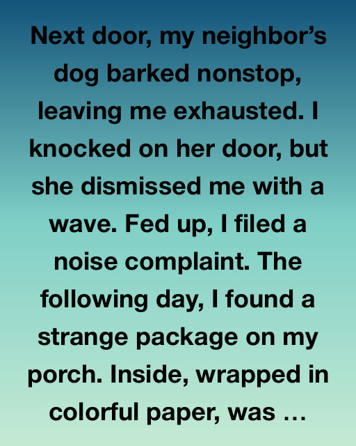 The Mysterious Package and The Neighbor’s Dog