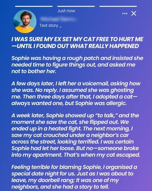 Sure My Ex Set My Cat Free To Hurt Me—Until I Found Out What Really Happened