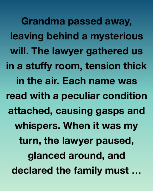 The Mysterious Will and the Secrets We Uncover