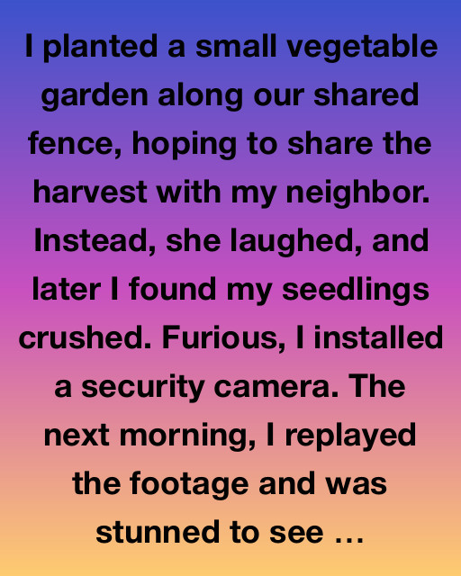The Mystery Of The Crushed Garden
