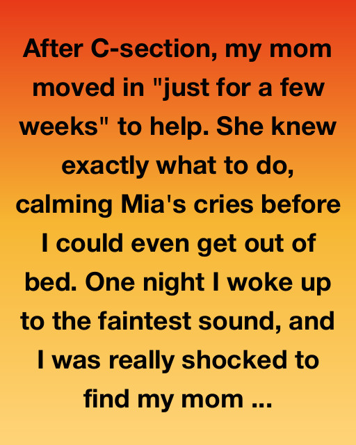 The Night I Saw My Mother Cry