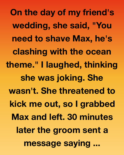 Max, Me, And The Wedding That Wasn’t Meant To Be