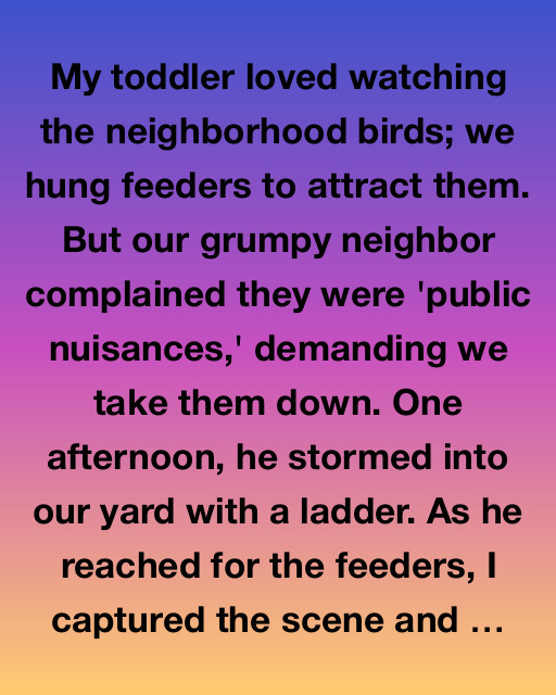 The Feathered Neighbors and the Ladder Incident
