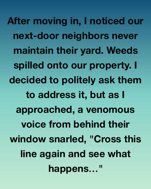 The Neighbors from Next Door