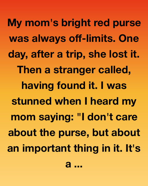 The Red Purse and the Letter That Changed Everything