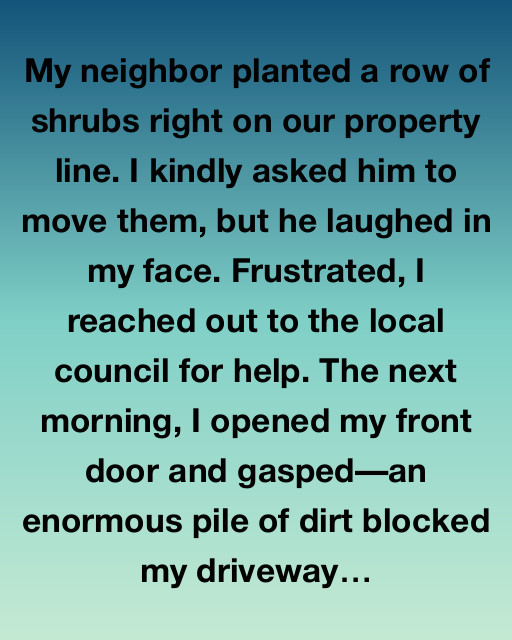 The Unexpected Garden Dispute