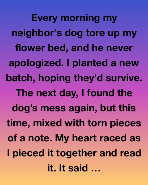 The Mysterious Note And The Neighbor’s Dog