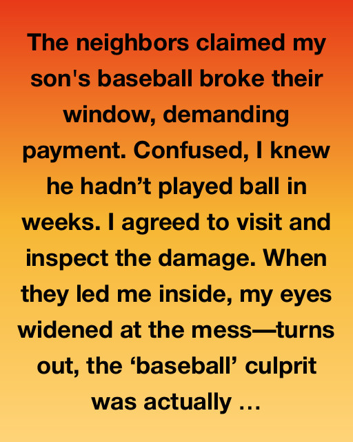 The Case of the Mysterious Window Breaker