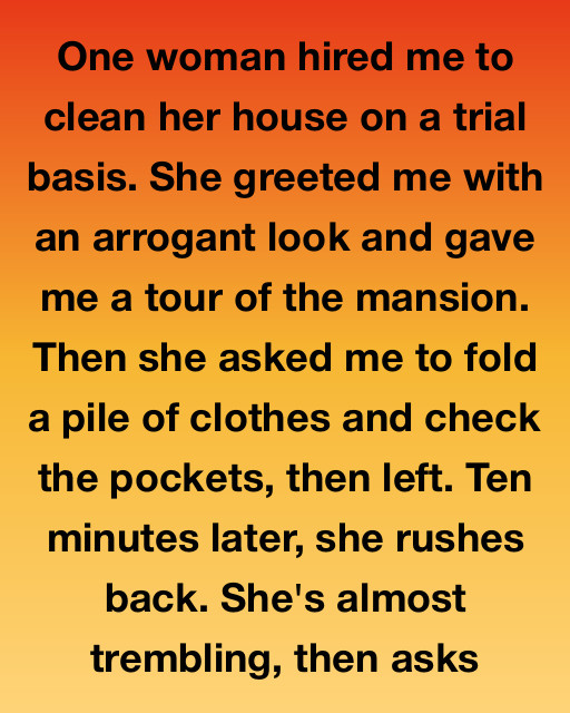 The Trial Cleaning Job That Changed Everything