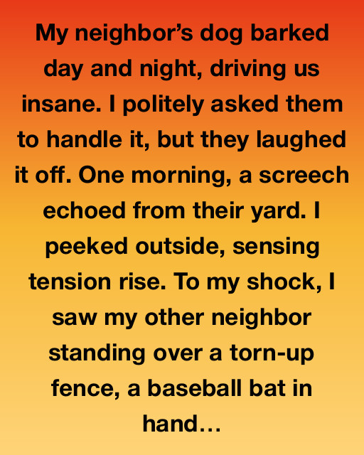 Neighbors, Noise, and New Friendships