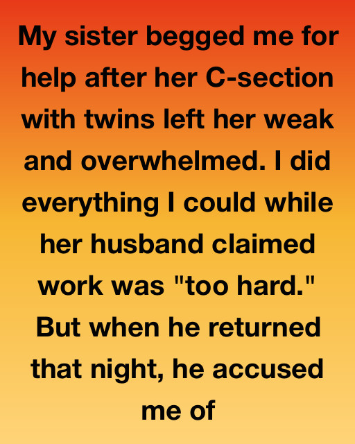 My Sister Begged Me For Help After Her C-Section With Twins—Her Husband’s Accusation Nearly Broke Me