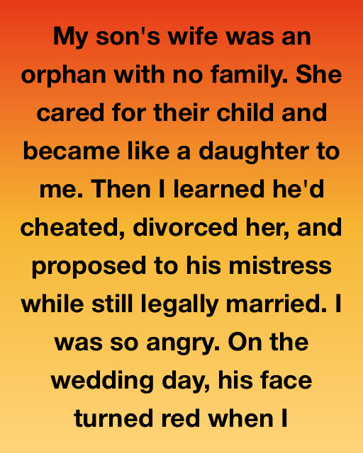 My Son’s Wife Was Like A Daughter To Me—Until He Broke Her Heart And I Took Her Side