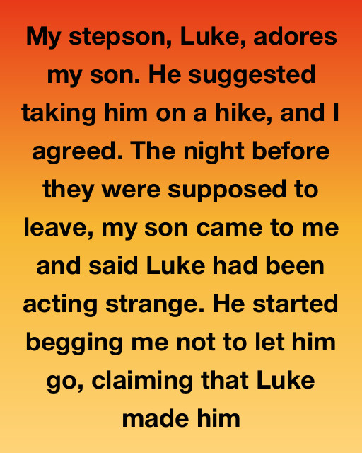 He Warned Me About My Stepson—But I Didn’t Listen Until It Was Nearly Too Late